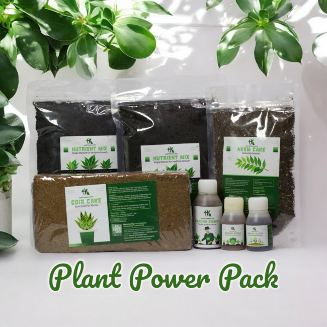 Plant Power Pack - Image 2