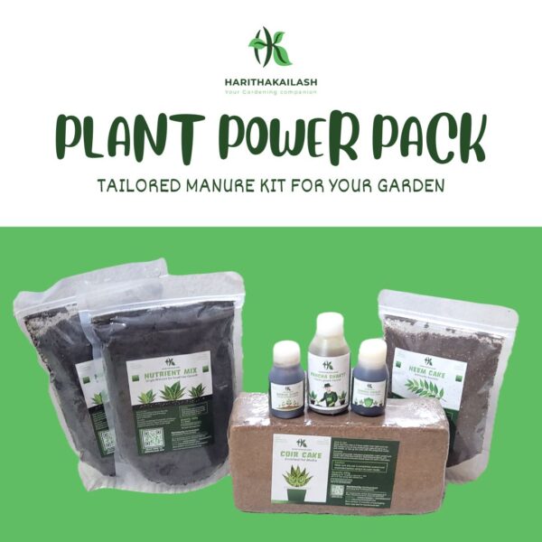 Plant Power Pack - Image 2